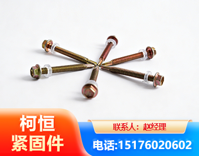 大庆六角钻尾丝